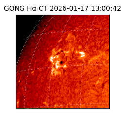 gong - 2026-01-17T13:00:42