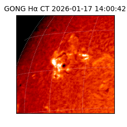 gong - 2026-01-17T14:00:42