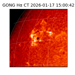 gong - 2026-01-17T15:00:42