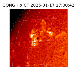 gong - 2026-01-17T17:00:42