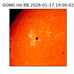 gong - 2026-01-17T19:00:02