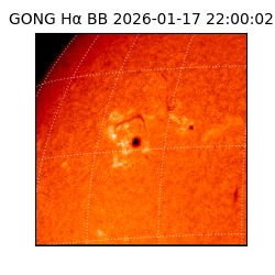 gong - 2026-01-17T22:00:02