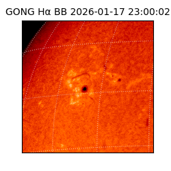 gong - 2026-01-17T23:00:02
