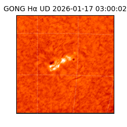 gong - 2026-01-17T03:00:02