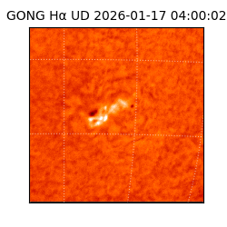 gong - 2026-01-17T04:00:02