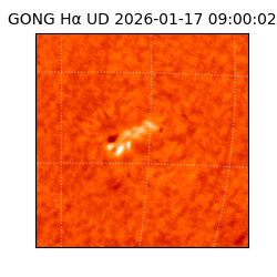 gong - 2026-01-17T09:00:02
