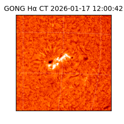 gong - 2026-01-17T12:00:42