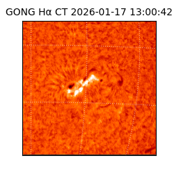 gong - 2026-01-17T13:00:42