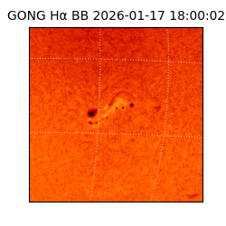 gong - 2026-01-17T18:00:02