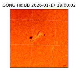 gong - 2026-01-17T19:00:02