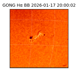 gong - 2026-01-17T20:00:02