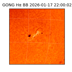 gong - 2026-01-17T22:00:02