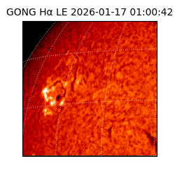 gong - 2026-01-17T01:00:42