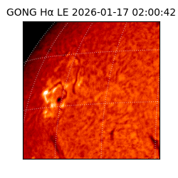 gong - 2026-01-17T02:00:42