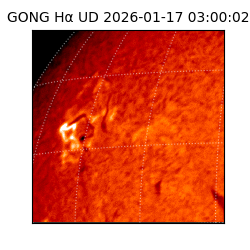 gong - 2026-01-17T03:00:02