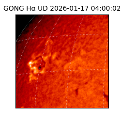 gong - 2026-01-17T04:00:02