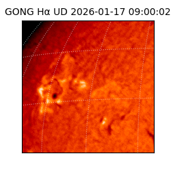 gong - 2026-01-17T09:00:02