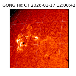gong - 2026-01-17T12:00:42
