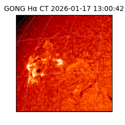 gong - 2026-01-17T13:00:42