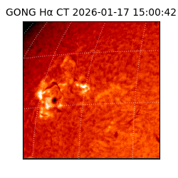 gong - 2026-01-17T15:00:42