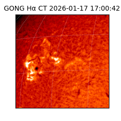 gong - 2026-01-17T17:00:42