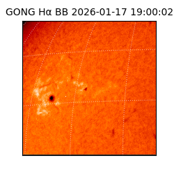 gong - 2026-01-17T19:00:02