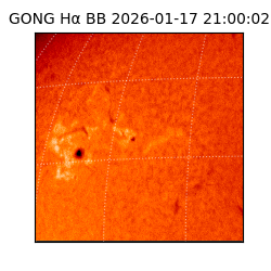 gong - 2026-01-17T21:00:02