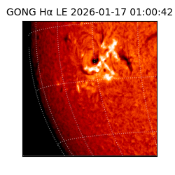 gong - 2026-01-17T01:00:42