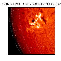 gong - 2026-01-17T03:00:02