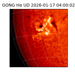 gong - 2026-01-17T04:00:02