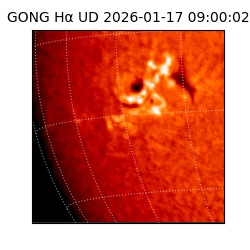 gong - 2026-01-17T09:00:02