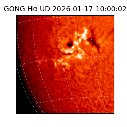 gong - 2026-01-17T10:00:02