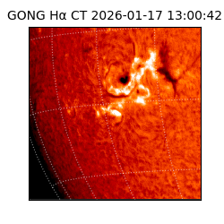 gong - 2026-01-17T13:00:42