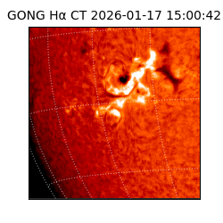 gong - 2026-01-17T15:00:42