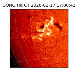 gong - 2026-01-17T17:00:42