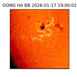 gong - 2026-01-17T19:00:02
