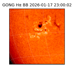 gong - 2026-01-17T23:00:02