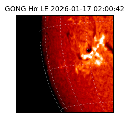 gong - 2026-01-17T02:00:42