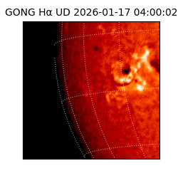 gong - 2026-01-17T04:00:02