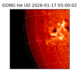 gong - 2026-01-17T05:00:02