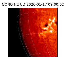 gong - 2026-01-17T09:00:02