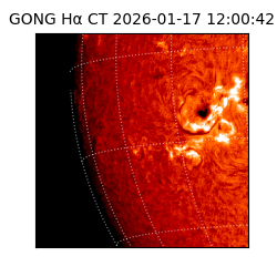 gong - 2026-01-17T12:00:42