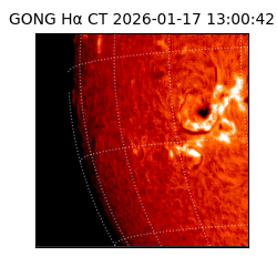gong - 2026-01-17T13:00:42