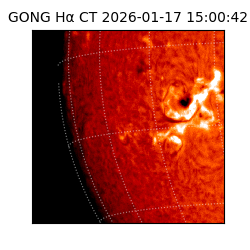 gong - 2026-01-17T15:00:42