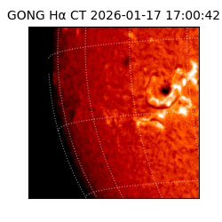 gong - 2026-01-17T17:00:42
