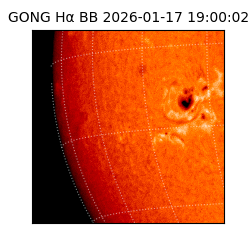 gong - 2026-01-17T19:00:02
