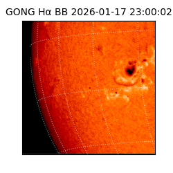 gong - 2026-01-17T23:00:02
