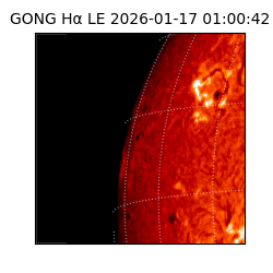 gong - 2026-01-17T01:00:42