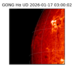 gong - 2026-01-17T03:00:02