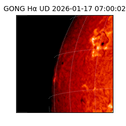 gong - 2026-01-17T07:00:02